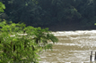 Rio Piracicaba 2012 - em frente a Bellan