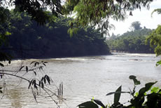 Responsabilidade Ambiental